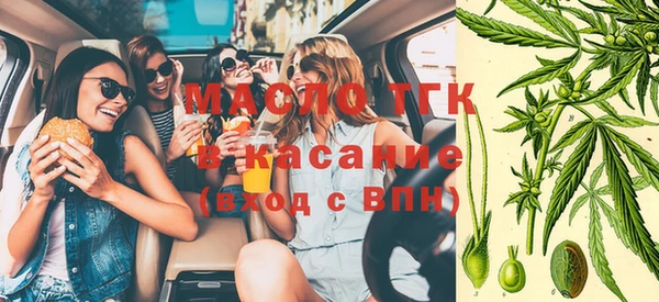 СК Дмитровск