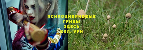СК Дмитровск